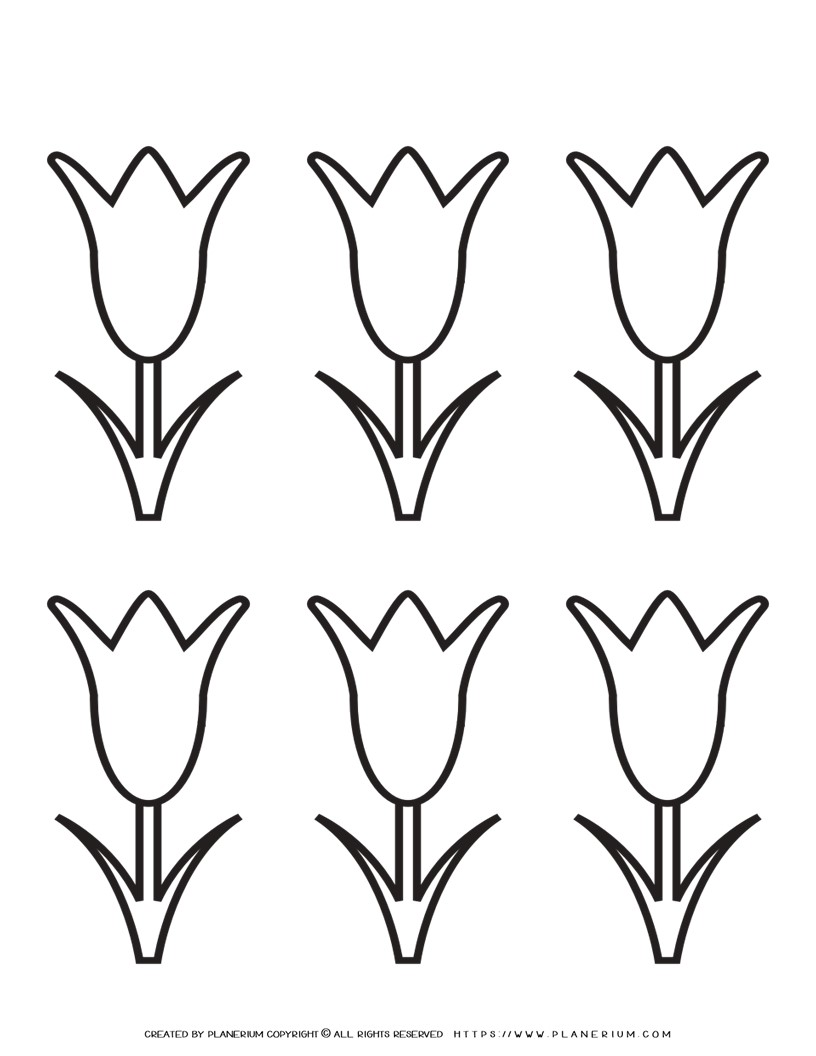 Tulip template printable