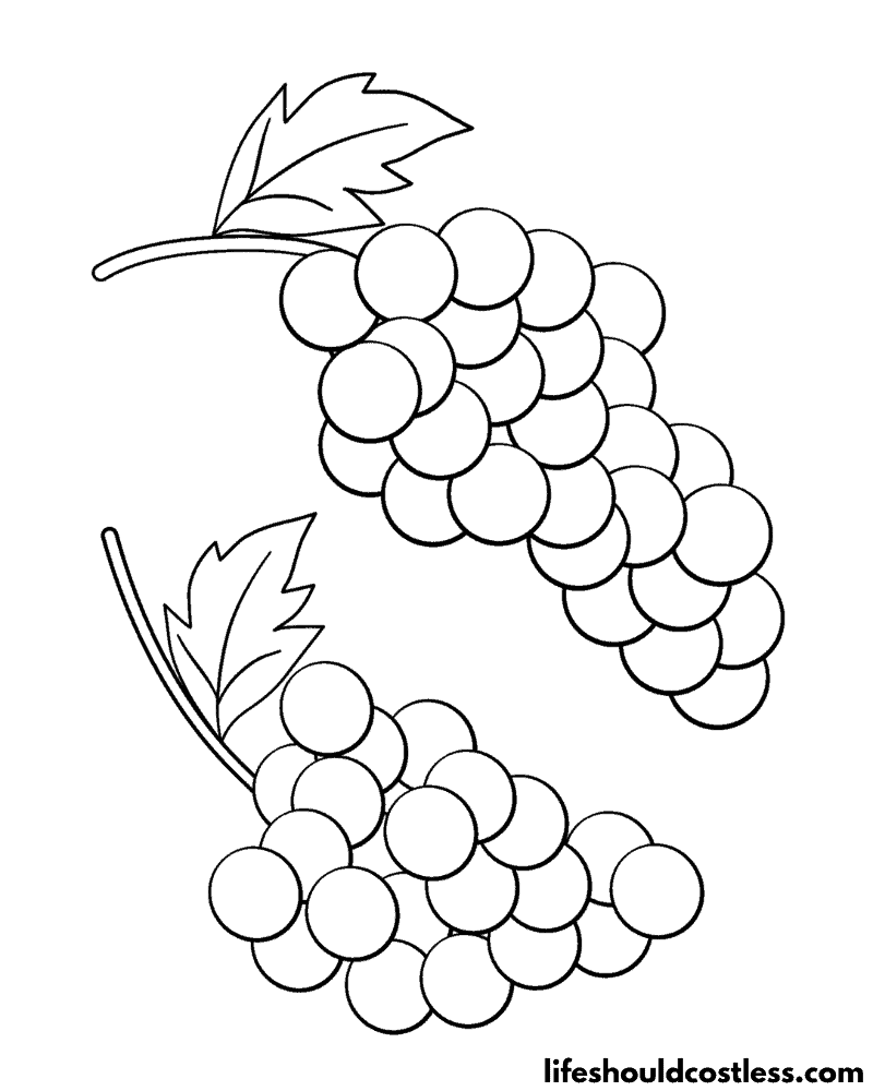 Grape coloring pages free printable pdf templates