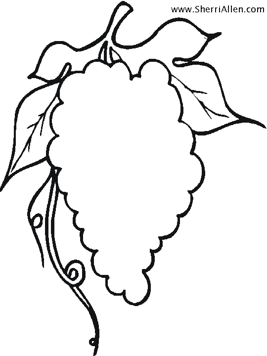 Free fruit coloring pages from