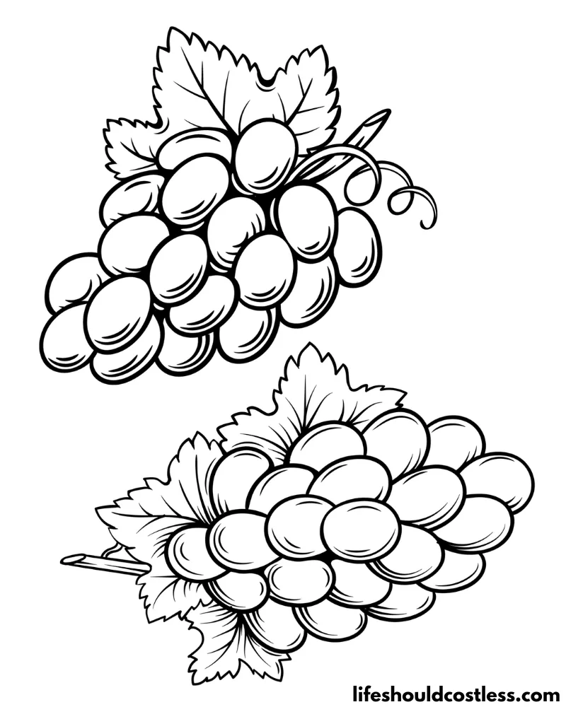 Grape coloring pages free printable pdf templates