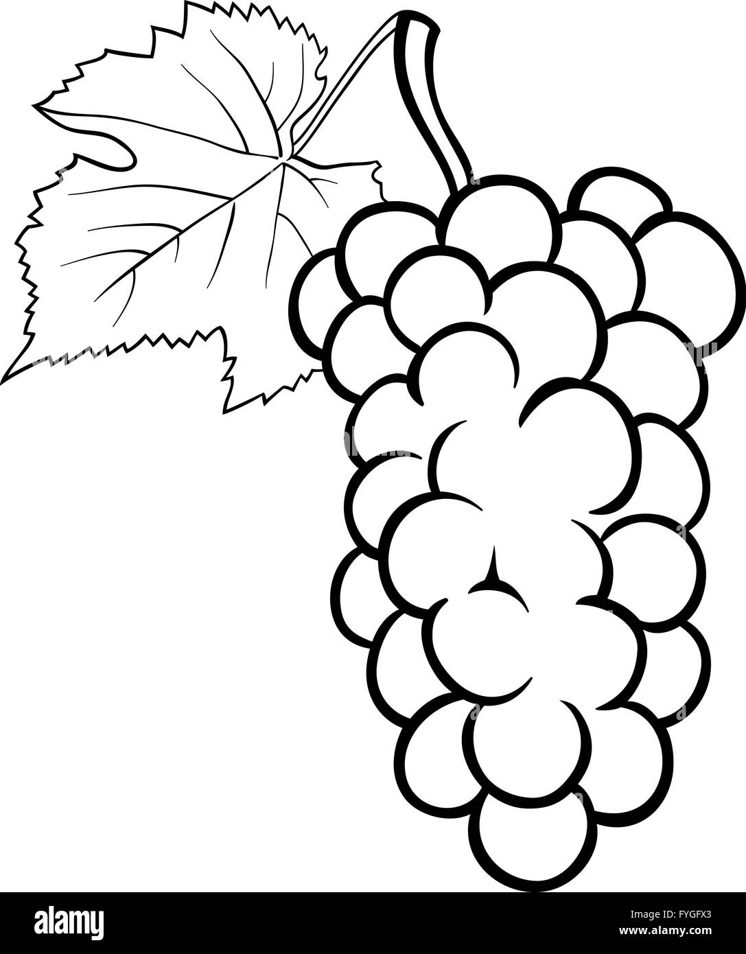 Grapes illustration for coloring book stock photo