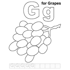 Top free printable lovely grapes coloring pages online