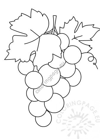 Bunch of grapes template coloring page