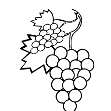 Top free printable lovely grapes coloring pages online