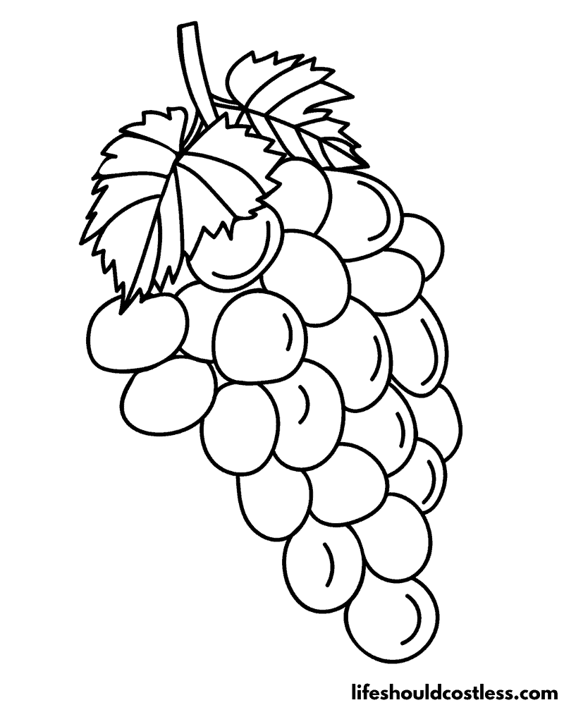 Grape coloring pages free printable pdf templates