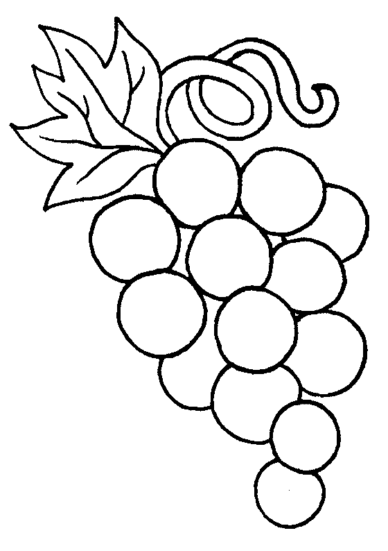 Grapes coloring pages fruit coloring pages coloring pages first munion banner
