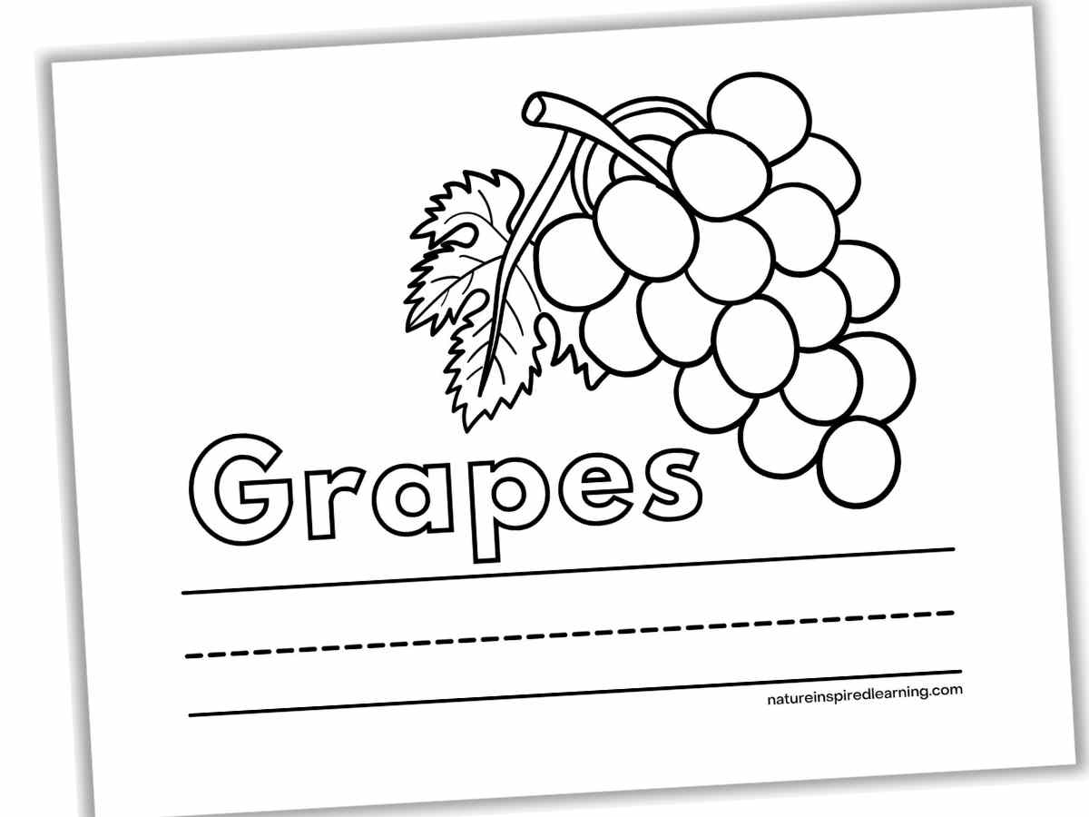 Grape coloring pages