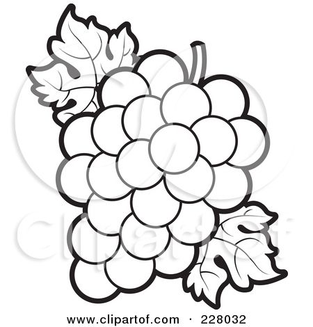 Flower outlines for coloring coloring page outline of a bunch of grapes and leaves posters art coloring pages grape bunch grapes