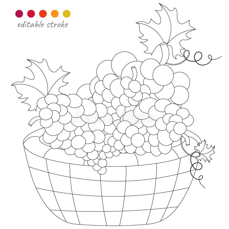 Grapes coloring stock illustrations â grapes coloring stock illustrations vectors clipart