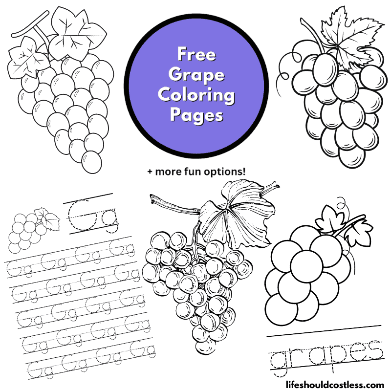Grape coloring pages free printable pdf templates