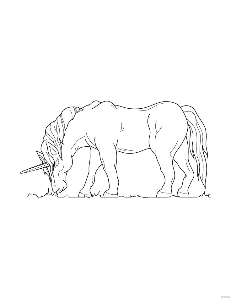 Free grazg unicorn colorg page unicorn colorg pages graphic illustration colorg pages