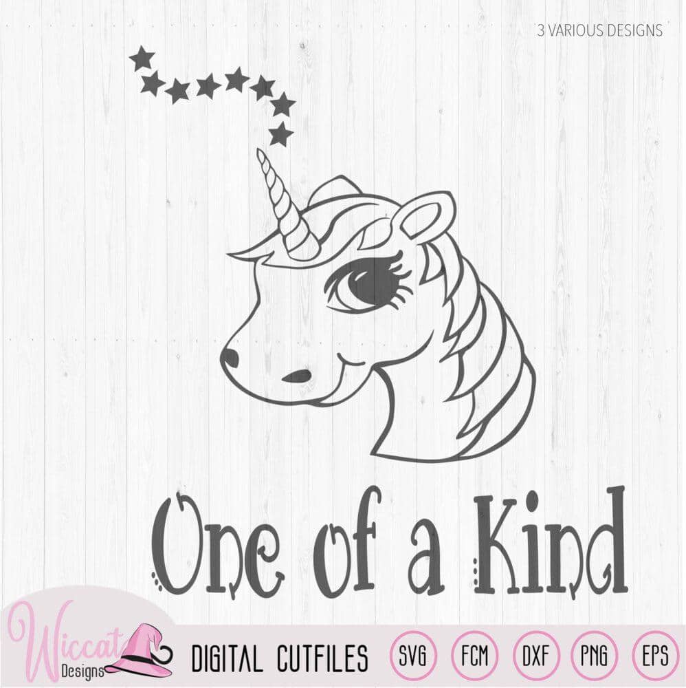 Unicorn one of a kind â
