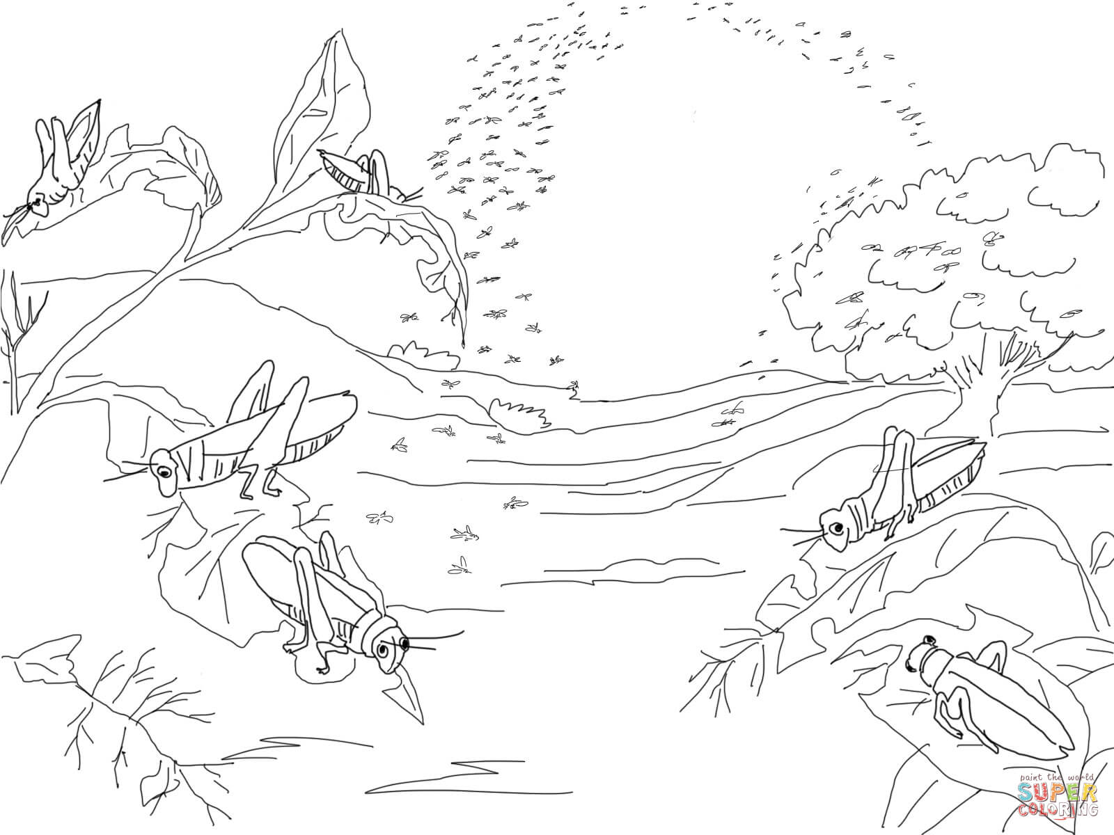 Plague of locusts coloring page free printable coloring pages