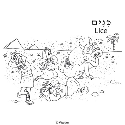 Ten plagues lice walder education