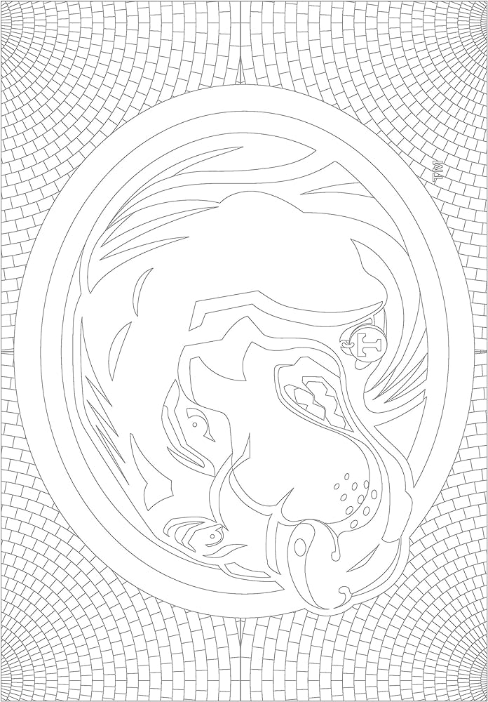 In the sports zone ncaa volunteers tennessee vols adult coloring book orange pages buy online at best price in u