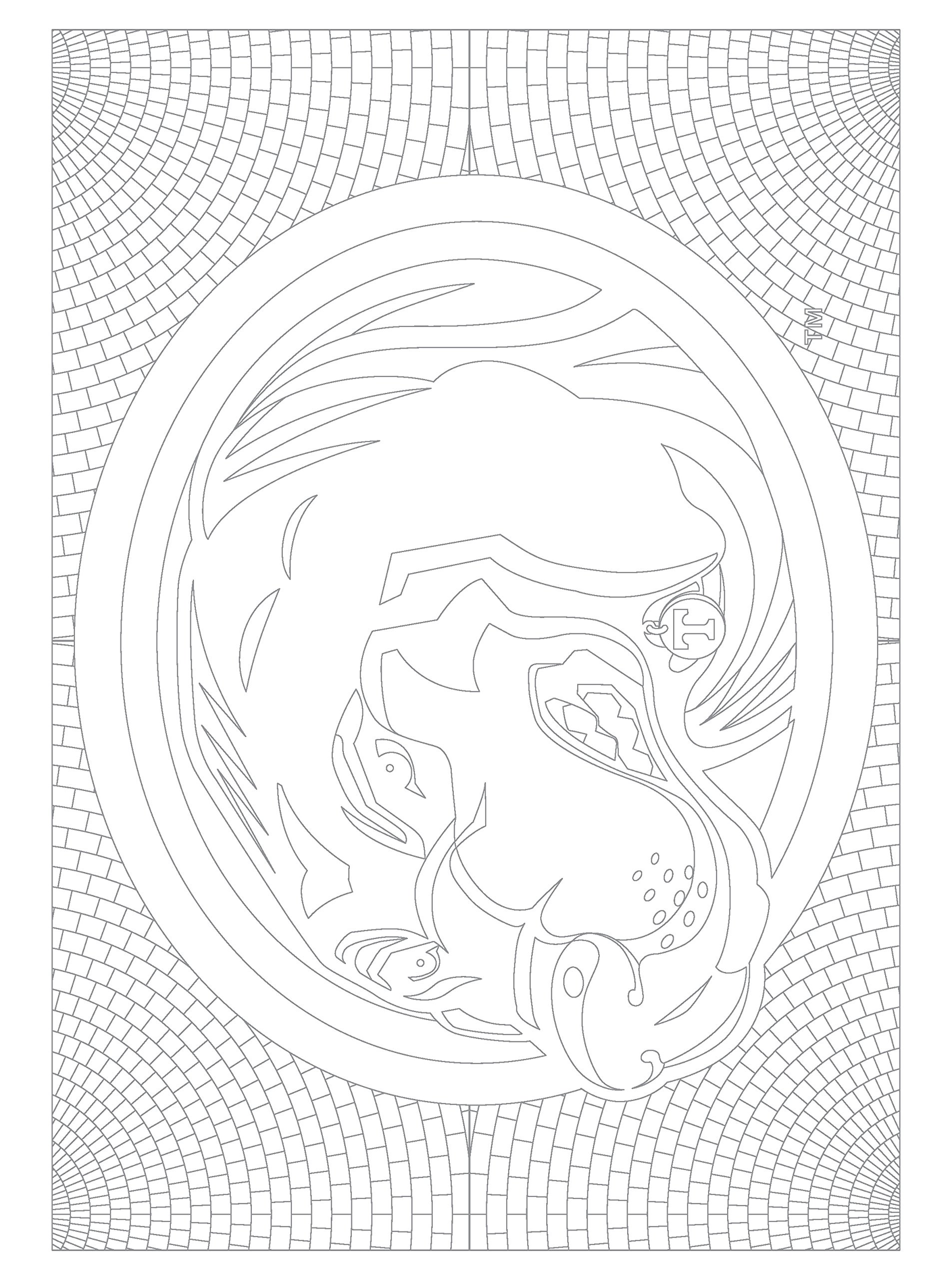 In the sports zone ncaa volunteers tennessee vols adult coloring book orange pages buy online at best price in u