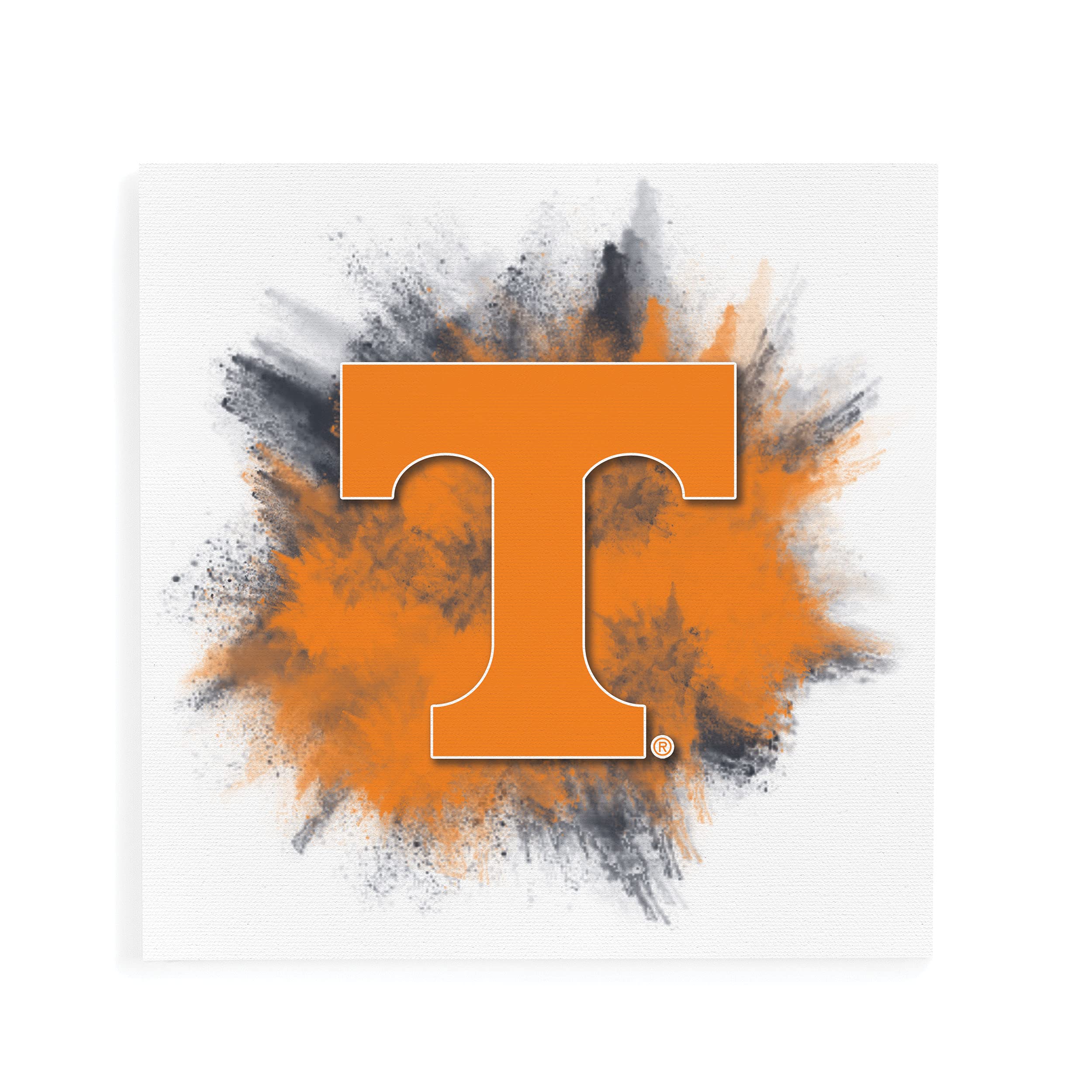 P graham dunn university of tennessee color splash logo x canvas decorative art sign home kitchen