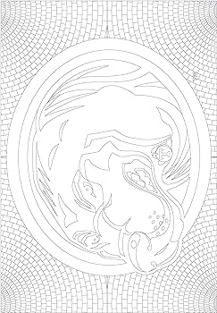 In the sports zone ncaa volunteers tennessee vols adult coloring book orange pages buy online at best price in u