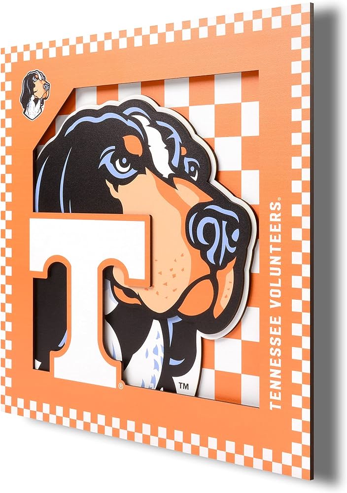 Youthefan ncaa tennessee volunteers d logo series wall art