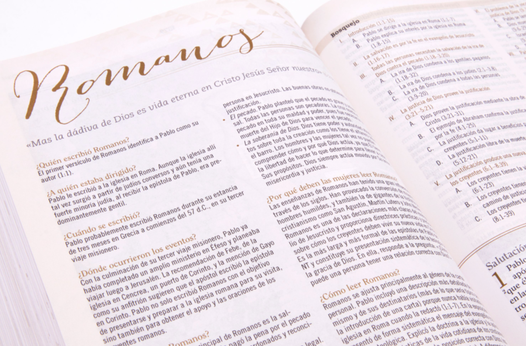 Biblia de estudio para mujeres