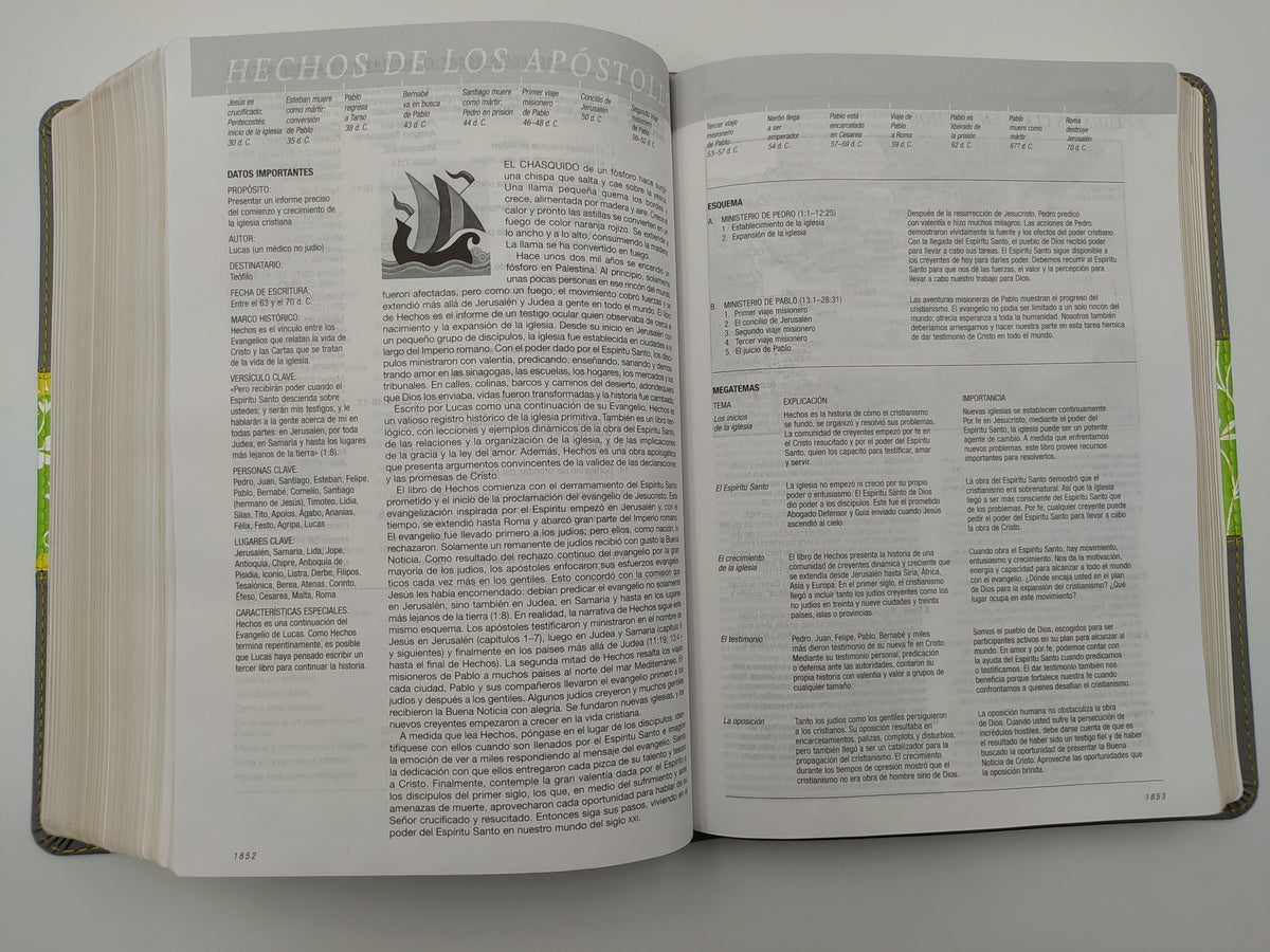 Biblia de estudio diario vivir ntv sentipiel gri