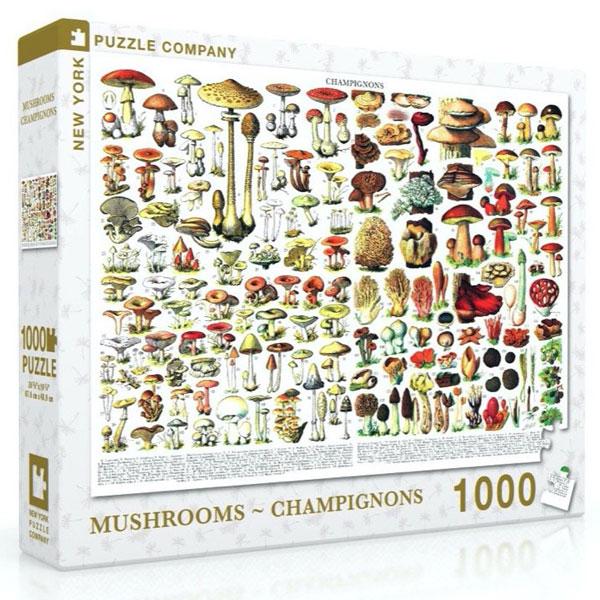 Puzzles terra toys