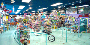 Terra toys terra toys