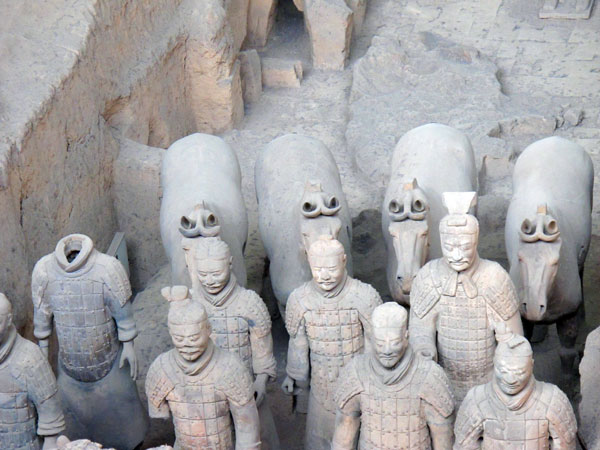 Terracotta warriors xian museum of terracotta amy horses