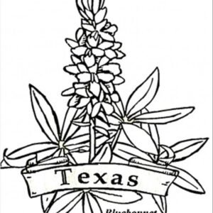 Texas coloring pages printable for free download