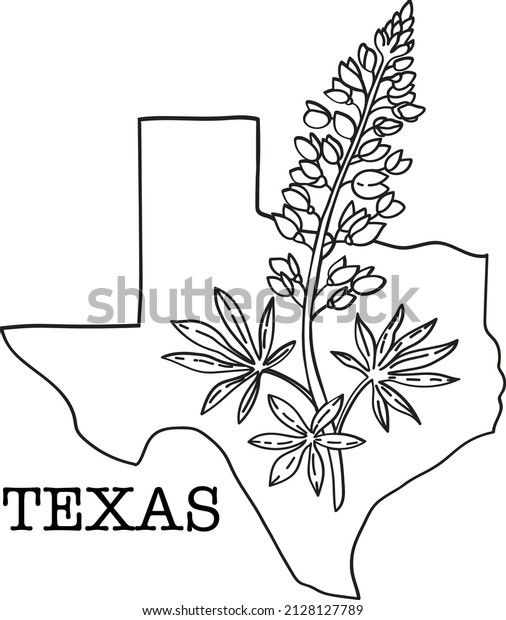 Texas map bluebonnet flower vector line stock vector royalty free