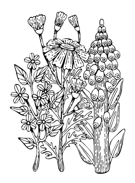Premium vector coloring page bouquet flowers line art floral pattern garden plants hand drawn coloring book