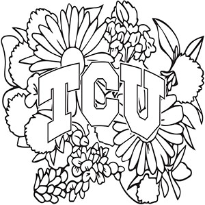 Texas christian university