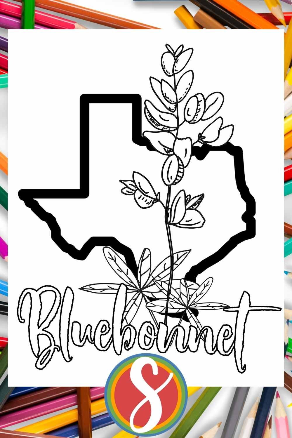 Free bluebonnet coloring pages â stevie doodles