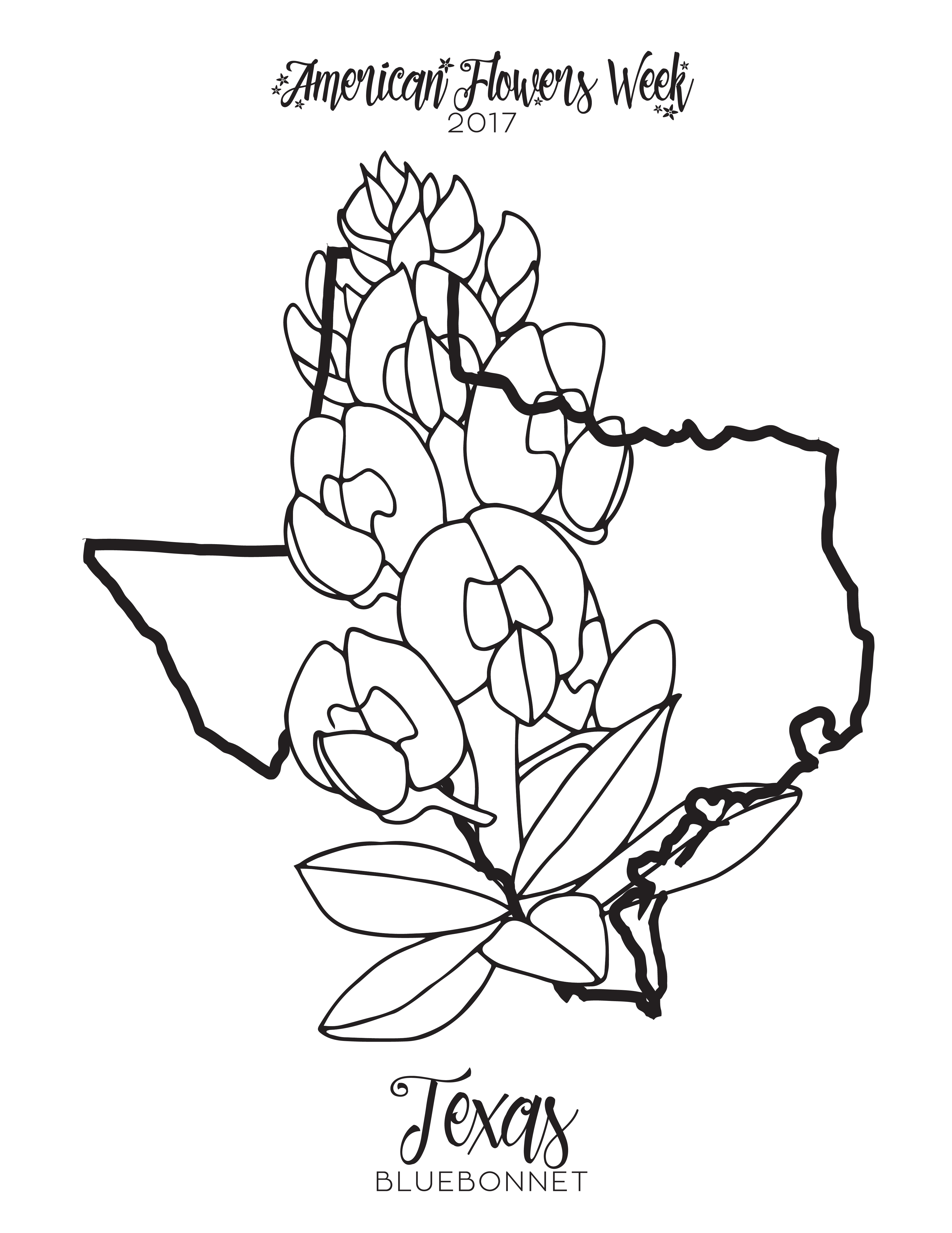 Tx bluebonnet free coloring pages coloring pages flower coloring pages