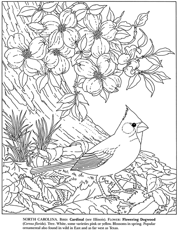 Wele to dover publications