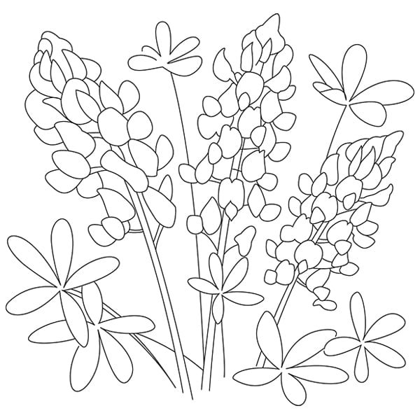 Bluebonnet sketch svg dxf cutting machine laser cutting designs craft genesis