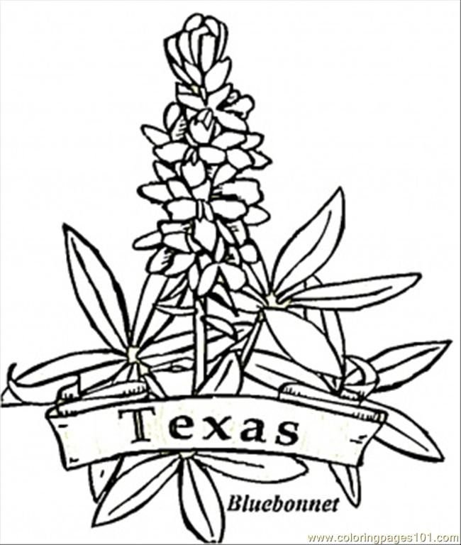 Texas coloring pages printable for free download