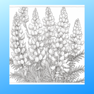 Texas blooms a wildflower coloring adventure taylor patti books
