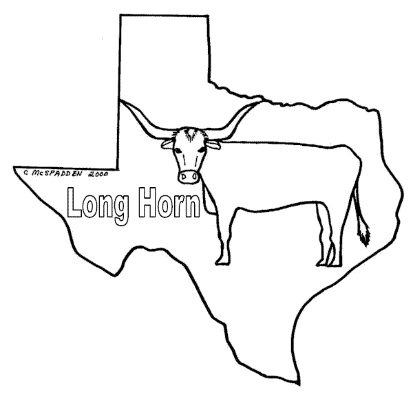 Texas long horn