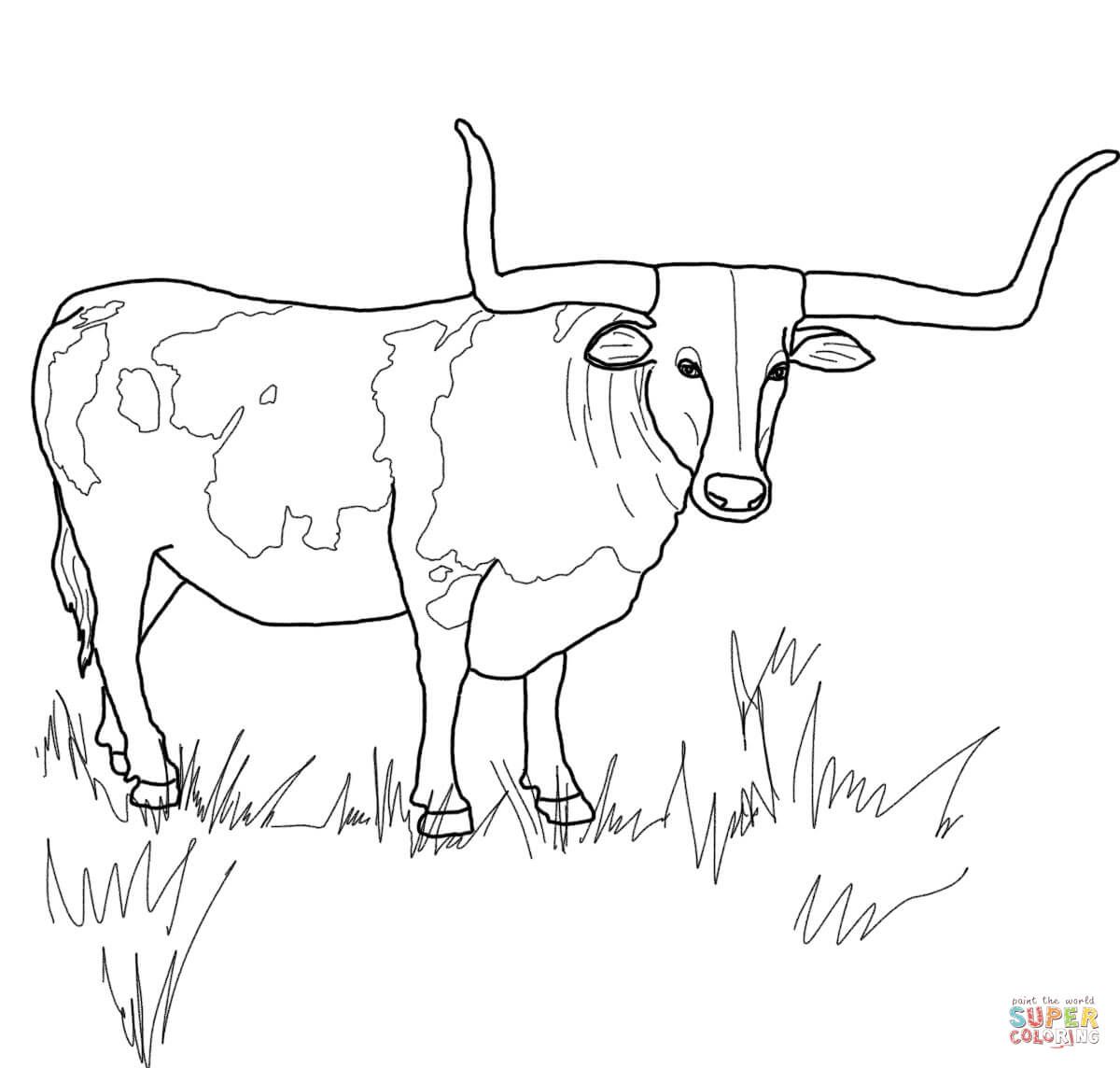 Texas longhorn steer coloring page free printable coloring pages cow coloring pages horse coloring pages animal coloring pages