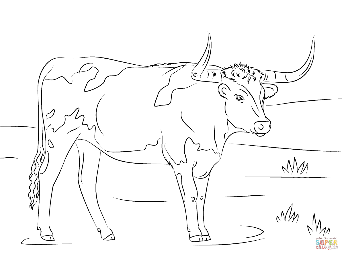 Longhorn coloring page free printable coloring pages