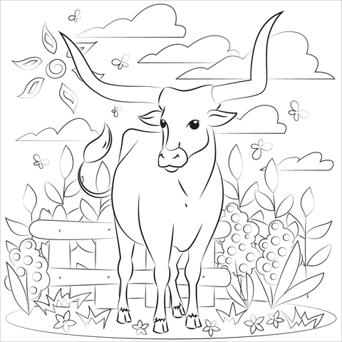 Longhorn coloring page free printable coloring pages