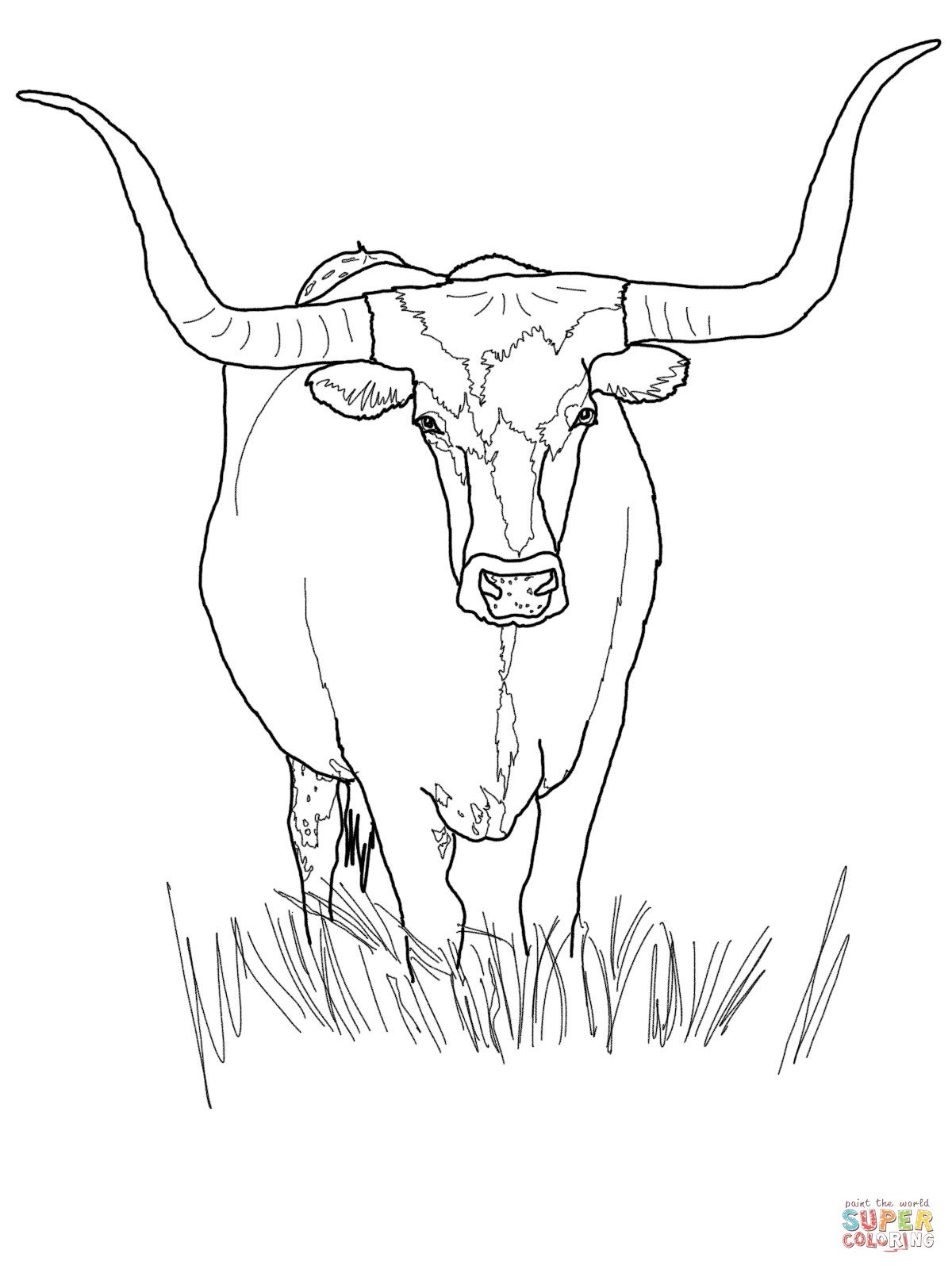 Engaging longhorn coloring pages for all ages