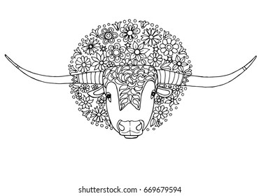 Texas longhorn cattle flowers page adult stock vector royalty free