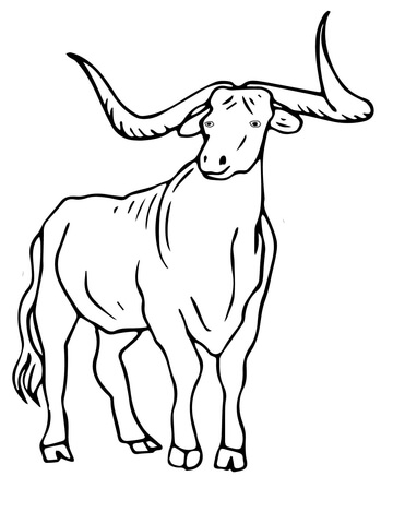 Texas longhorn coloring page free printable coloring pages