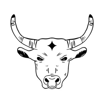 Page texas longhorn bull images
