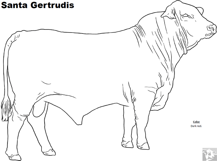 Breed coloring pages