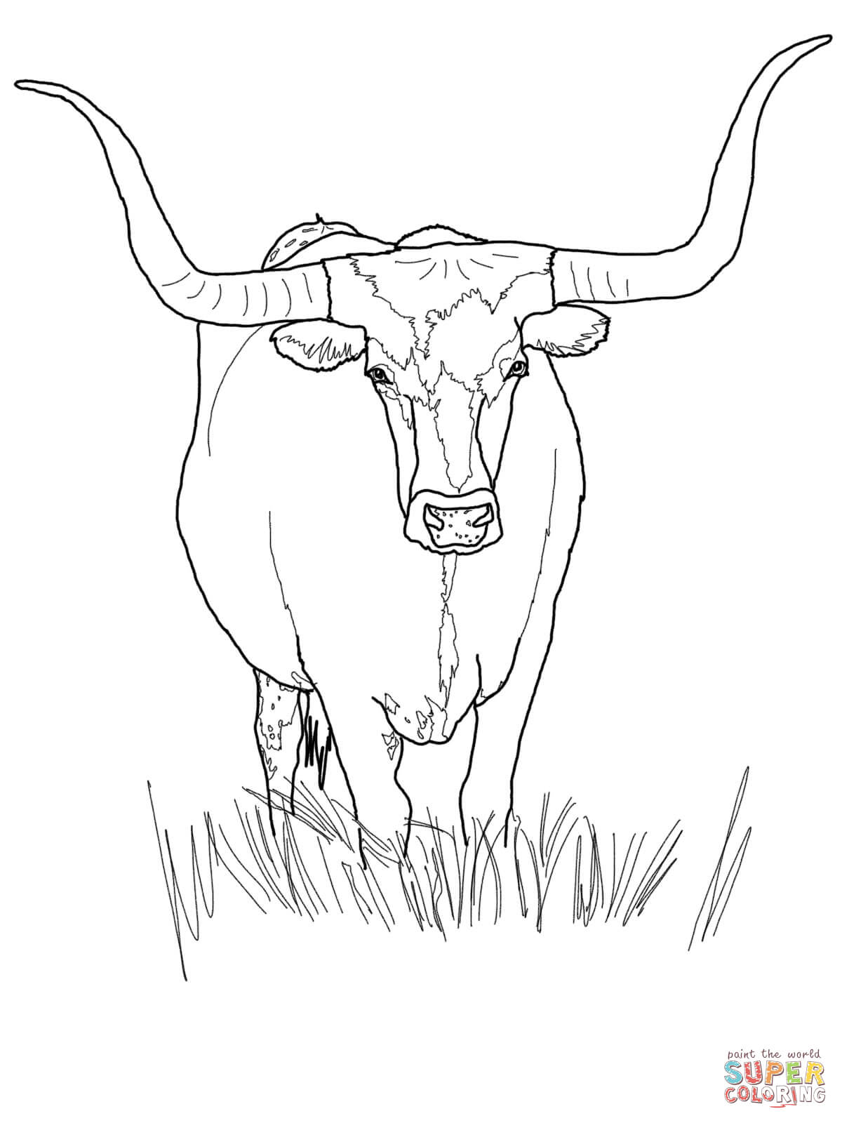 Texas longhorn cattle coloring page free printable coloring pages