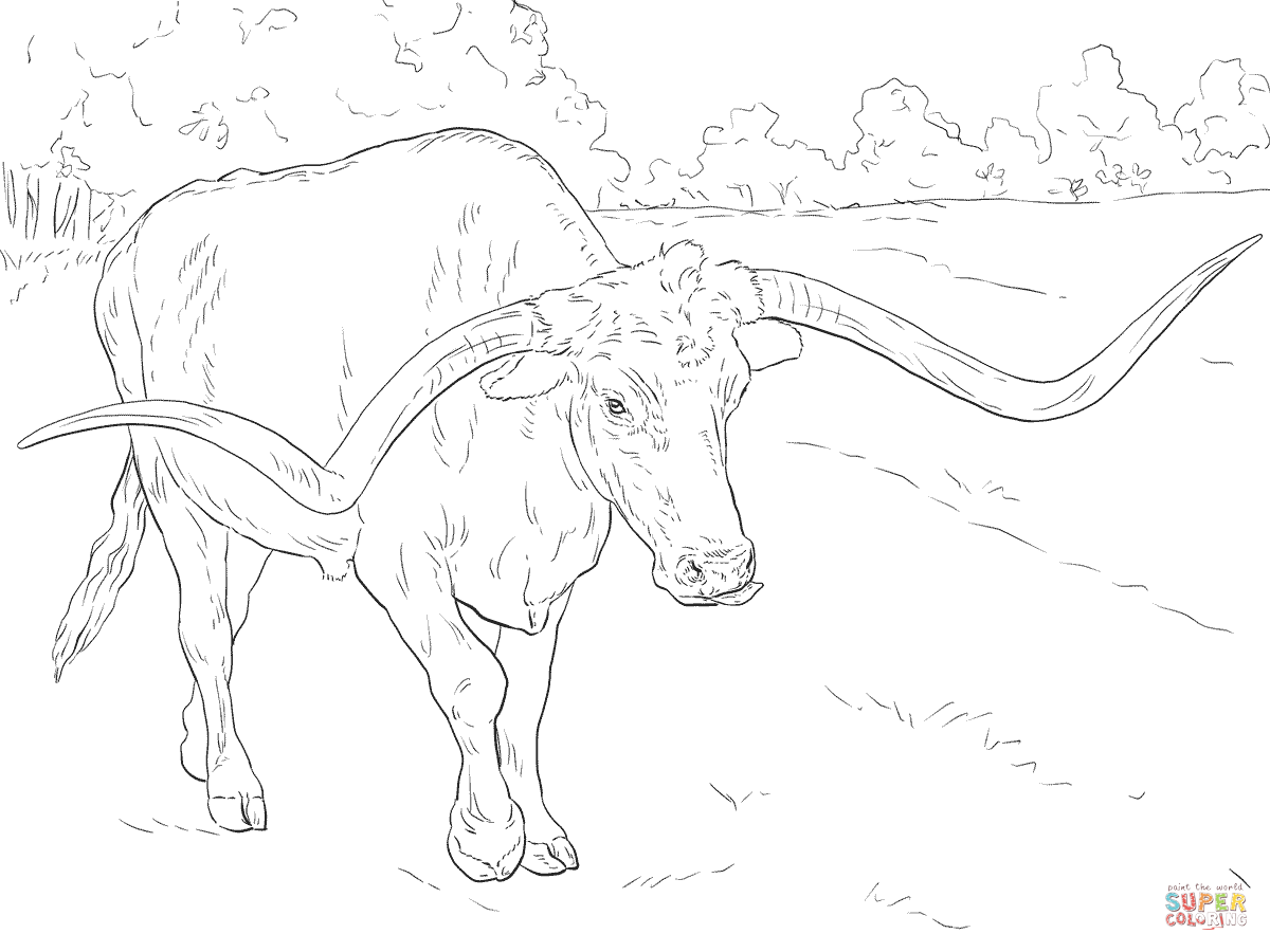 Realistic texas longhorn coloring page free printable coloring pages