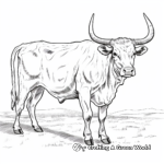 Longhorn coloring pages